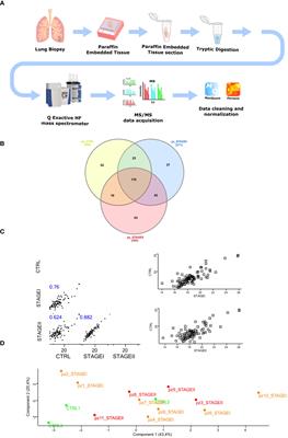 Proteomic profiling of formalin-fixed paraffine-embedded tissue reveals key proteins related to lung dysfunction in idiopathic pulmonary fibrosis